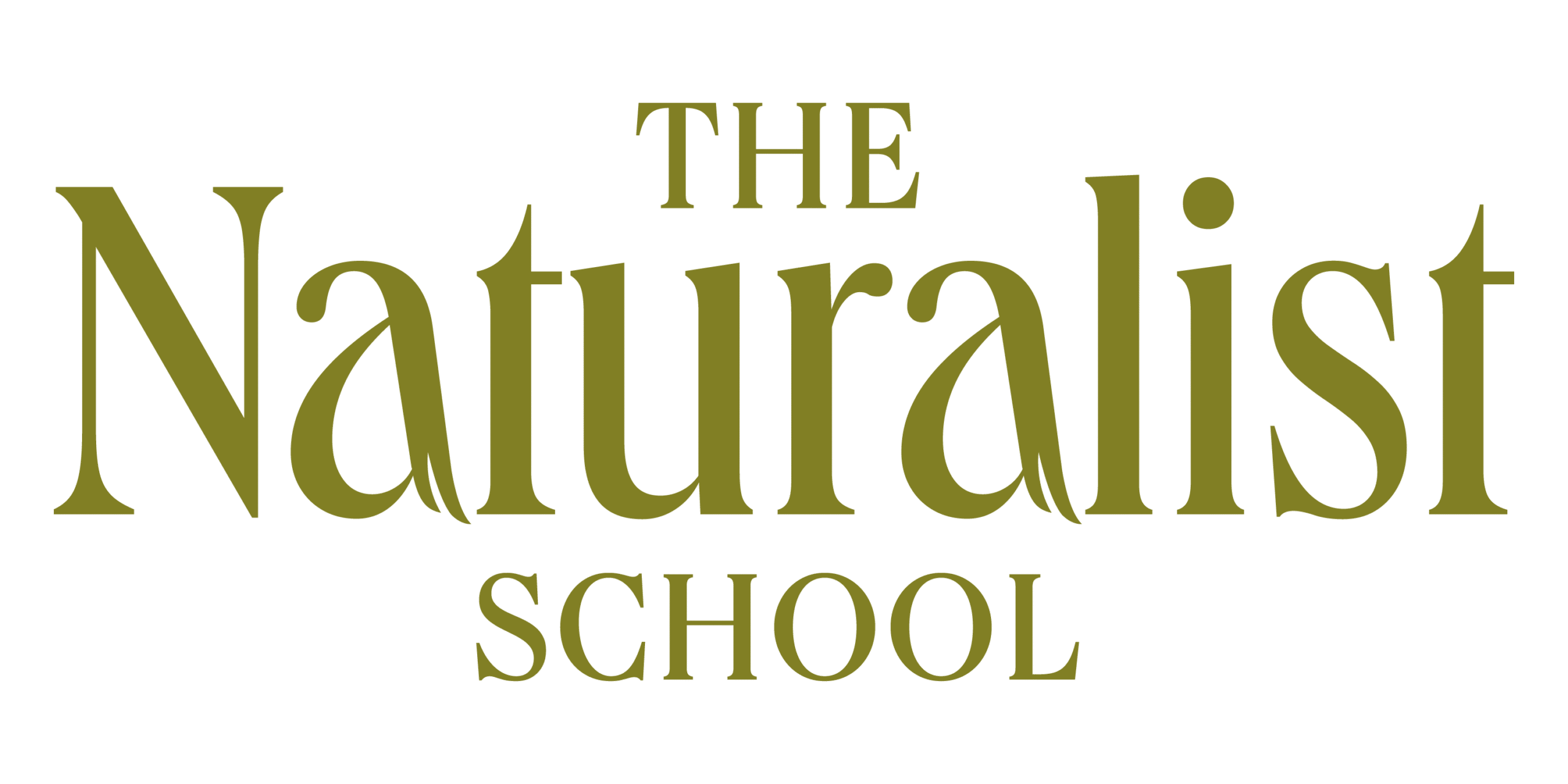 The-Naturalist-Logo-Files-01-3 The Naturalist School